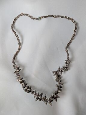Seashell Necklace